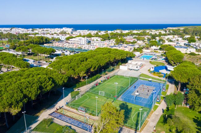 Vista aerea di campi sportivi e alberi vicino al mare.
