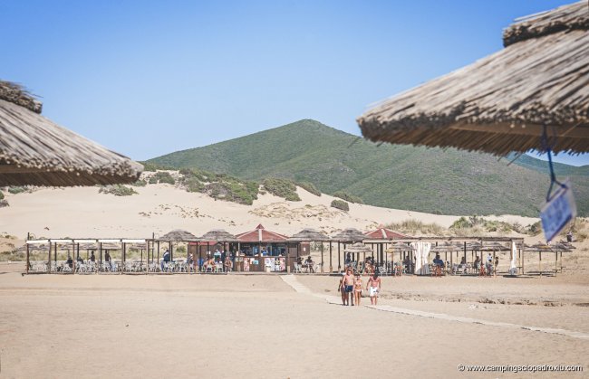 Spiaggia con dune, bar e ombrelloni in paglia.