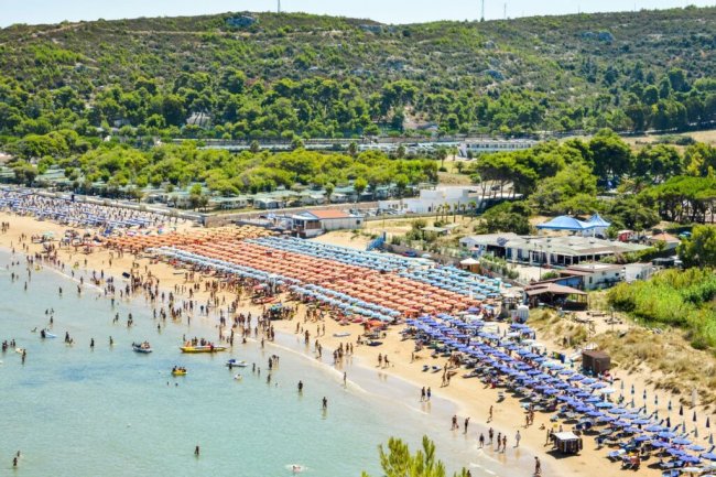 Spiaggia affollata con file di ombrelloni.