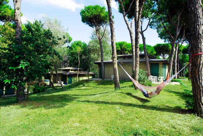 Amaca appesa tra gli alberi in un giardino.