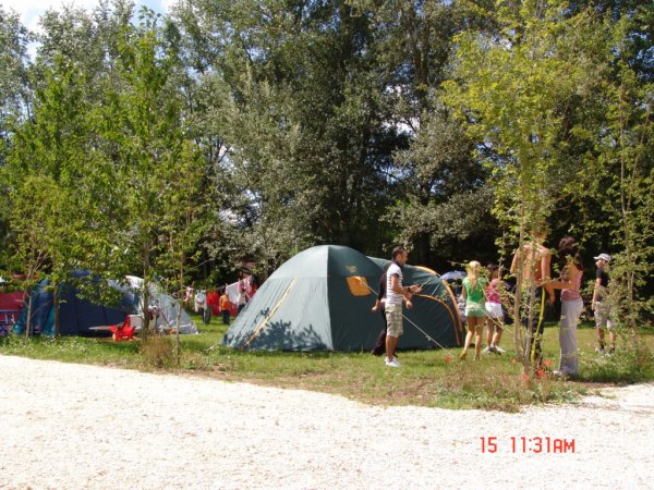 Tende da campeggio con persone tra gli alberi.
