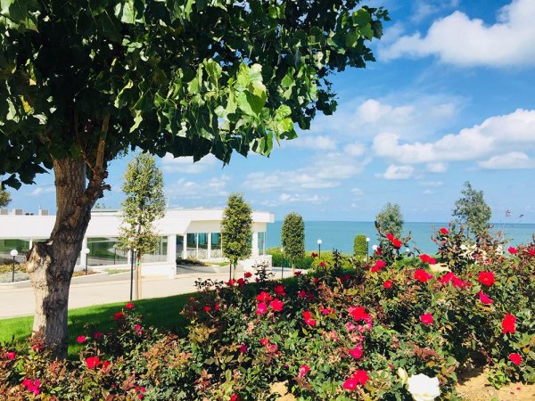 Giardino con fiori e vista mare.