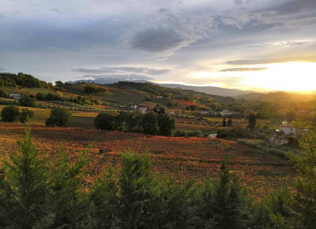 Paesaggio al tramonto con colline e campi verdi.