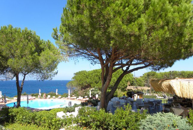 Piscina con sedie a sdraio e alberi vicino alla spiaggia.