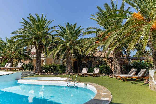 Piscina con lettini e palme verdi intorno.