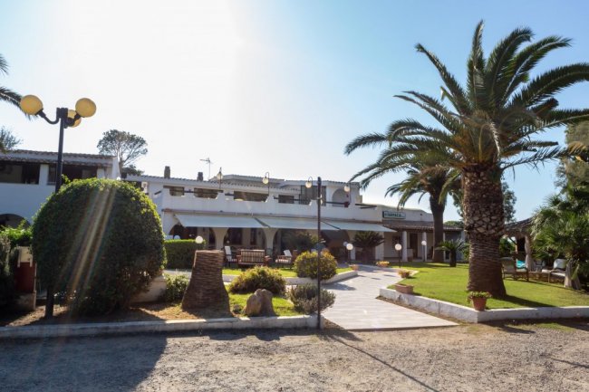 Hotel con giardino e palme al sole.