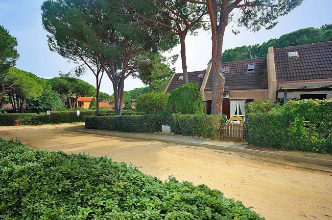 Vialetto con villette circondate da siepi e alberi.