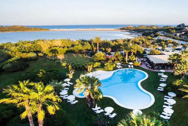Piscina circondata da palme vicino al mare.