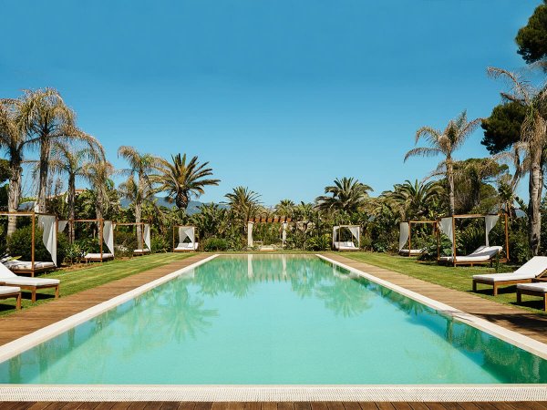 Piscina lunga circondata da palme e lettini.