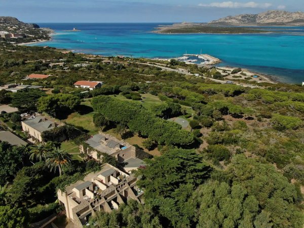 Vista aerea di verde e azzurro del mare.