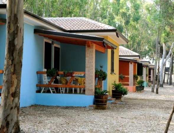 Bungalow colorati in fila tra alberi.