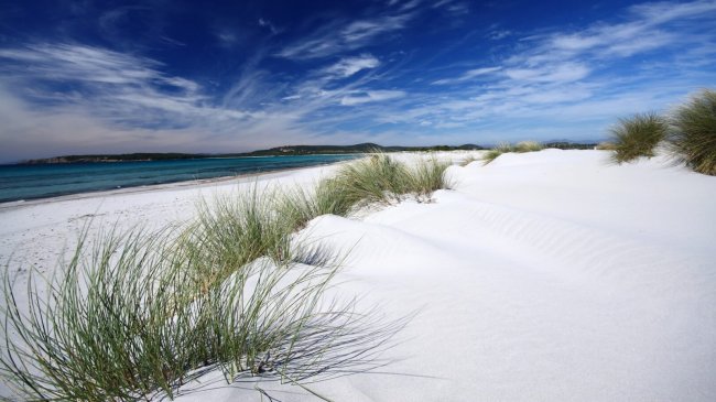 Spiaggia sabbiosa con dune e cielo nuvoloso.