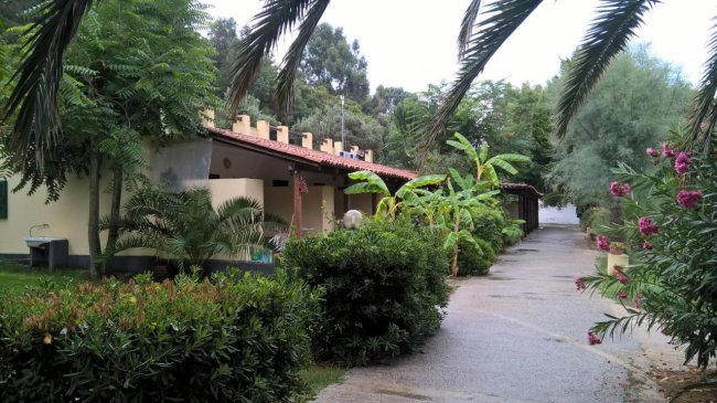 Stradina fiancheggiata da piante e bungalow.