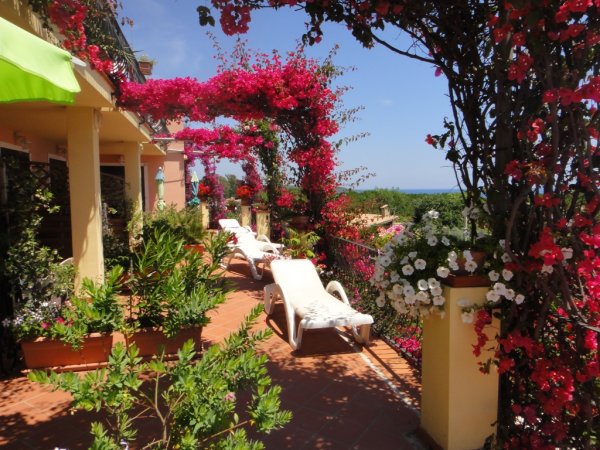 Terrazza con sedie a sdraio e fiori rampicanti rosa.