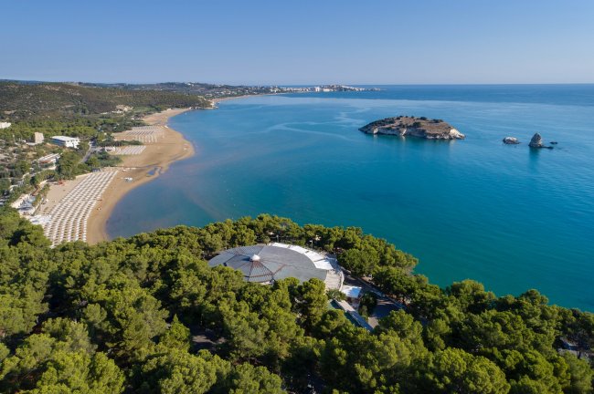 Vista aerea di una spiaggia con pini e mare.