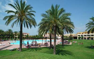 Piscina all'aperto circondata da prati e palme.
