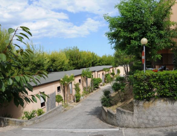 Sentiero tra villette circondate da alberi e vegetazione.