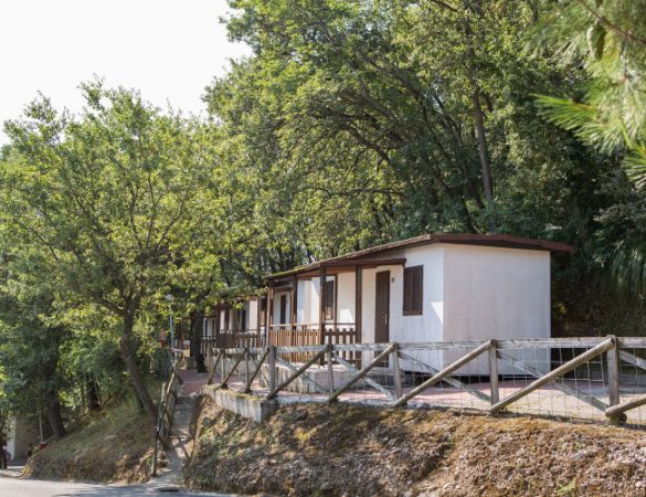 Case mobili bianche tra gli alberi con una staccionata di legno.