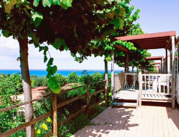Verande di legno con vista sul mare e alberi verdi intorno.