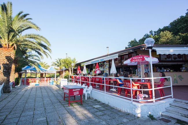 Un bar all'aperto con sedie rosse e ombrelloni, accanto a una palma e un'area pavimentata.