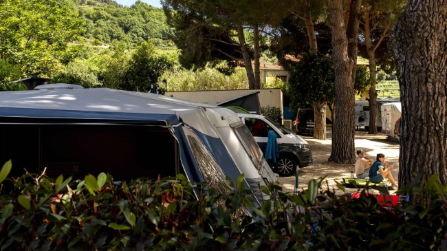Campeggio ombreggiato con camper e alberi.