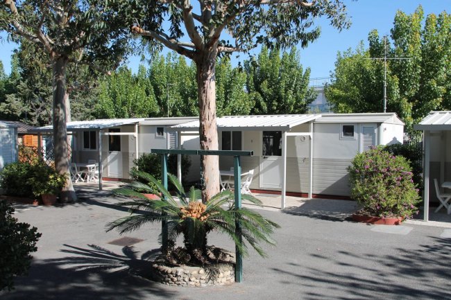 Bungalow bianchi in fila, ombreggiati da alberi.