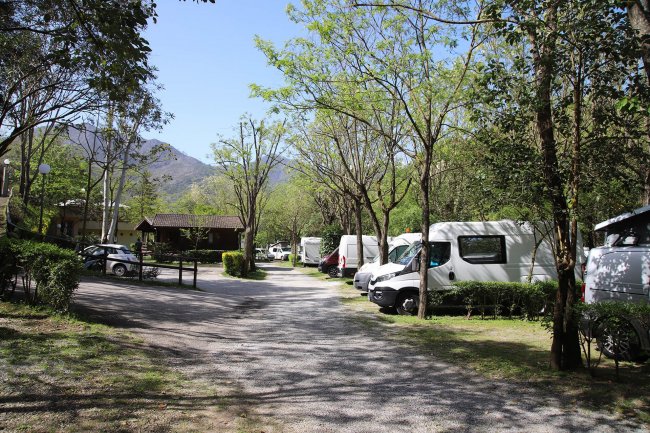 Sentiero con camper parcheggiati, circondato da alberi.