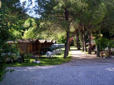 Chalet di legno in un campeggio immerso tra alberi.