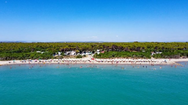 Vista aerea di una spiaggia affollata con mare azzurro e foresta alle spalle.