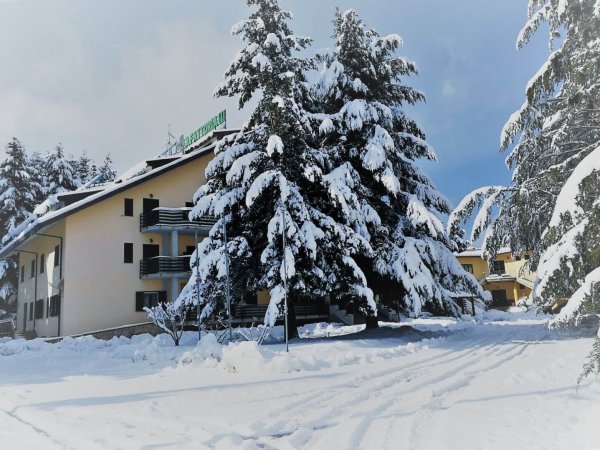 Edificio innevato circondato da alberi carichi di neve.