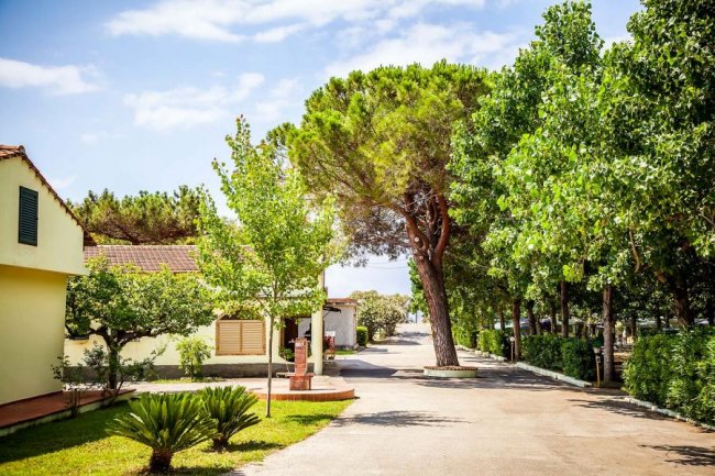 Viale alberato con edifici bassi e giardino curato.