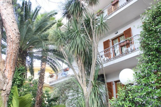 Balconi con piante e grandi palme.