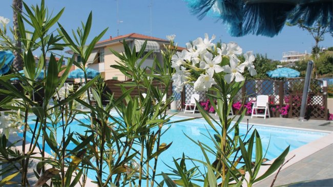 Piscina con fiori bianchi in primo piano.