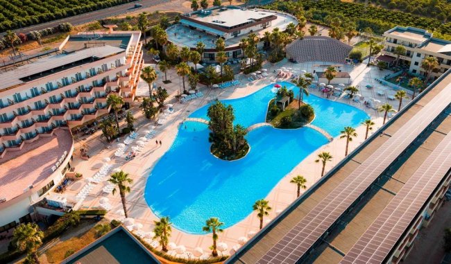 Grande piscina con struttura circondata da palme.