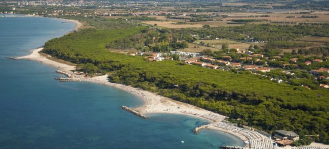 Vista aerea di una spiaggia e pineta.