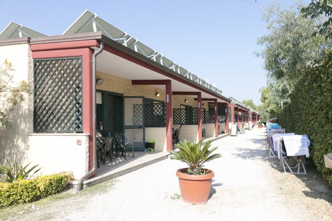 Alloggi fila, vialetto fiancheggiato da piante.