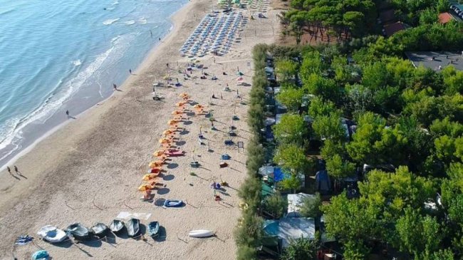 Spiaggia vista dall'alto con file di ombrelloni e pini sul retro.