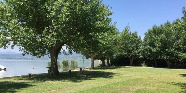 Prato verde con alberi lungo un lago, cielo sereno.