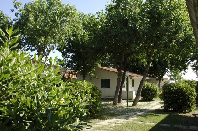 Bungalow tra alberi e cespugli verdi.
