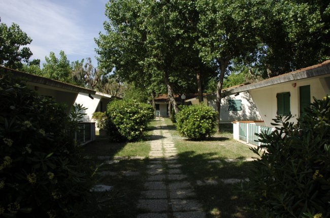 Vialetto con bungalow tra alberi e cespugli.