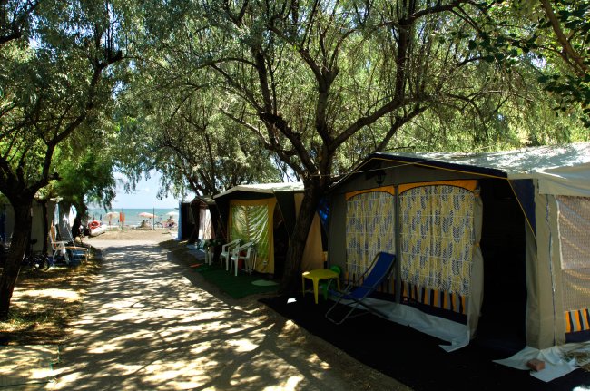 Tende da campeggio lungo un sentiero alberato.