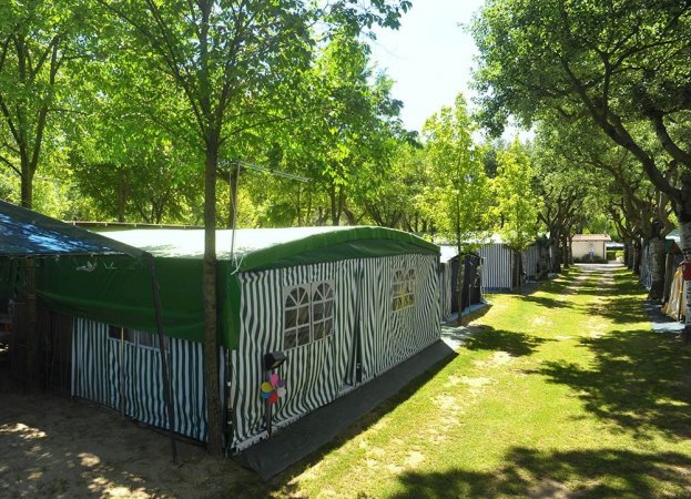 Tende da campeggio tra gli alberi.