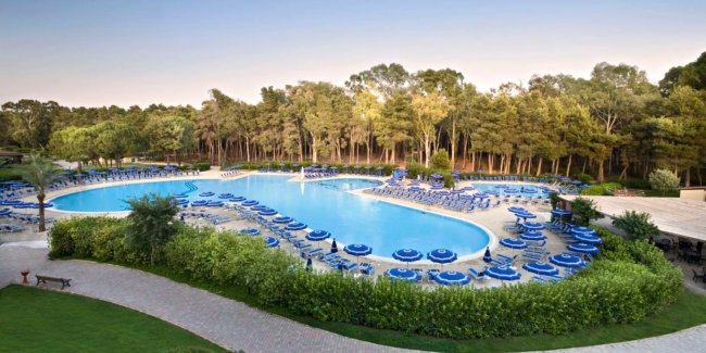 Grande piscina con lettini e alberi intorno.