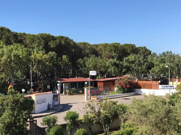 Ingresso di un campeggio circondato da alberi.