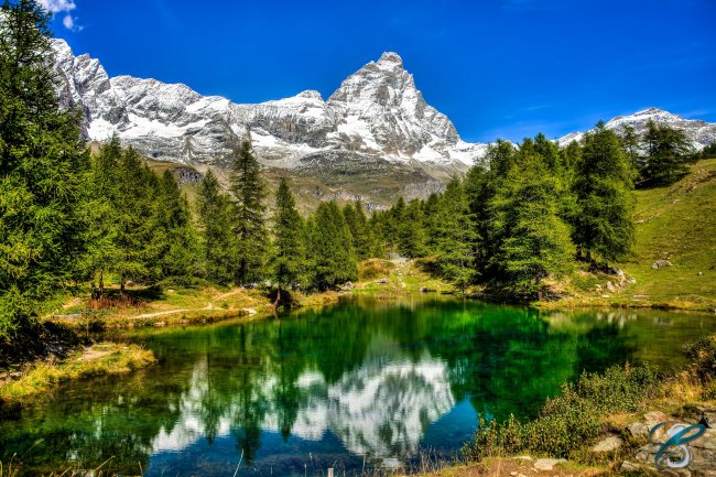 Lago verde con riflesso di montagne e alberi sullo sfondo.