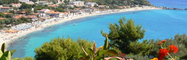 Spiaggia con mare turchese e vegetazione.