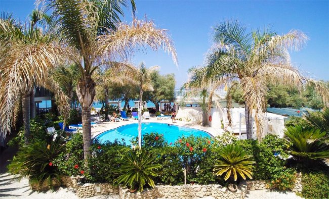 Piscina circondata da palme e piante.