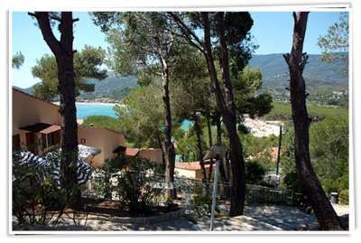 Vista di alberi e vegetazione con scorcio di mare in lontananza.