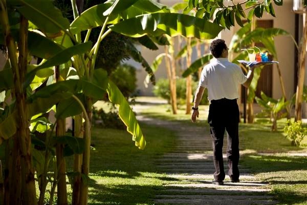 Persona cammina su un sentiero fiancheggiato da piante verdi, portando un vassoio.