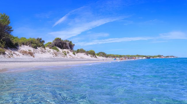 Spiaggia con mare blu e vegetazione costiera.
